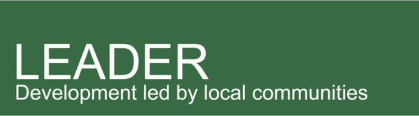 leader official logo